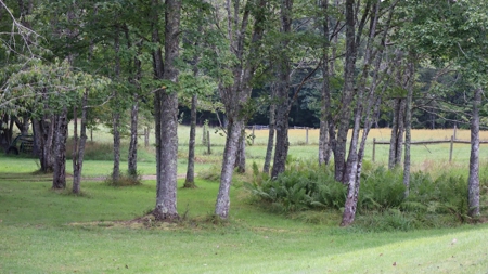 Country Home and Farm for Sale in Floyd VA - image 33