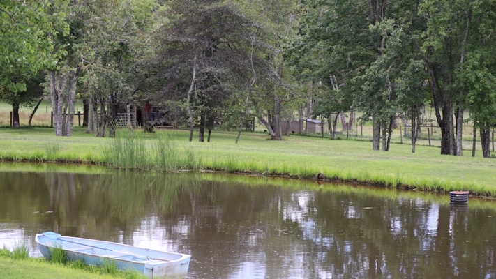 Country Home and Farm for Sale in Floyd VA