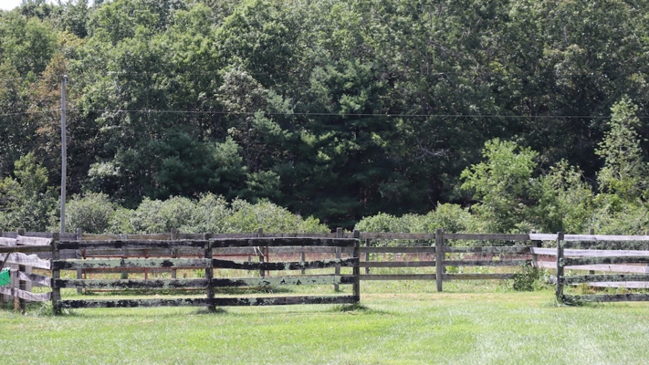 Country Home and Farm for Sale in Floyd VA