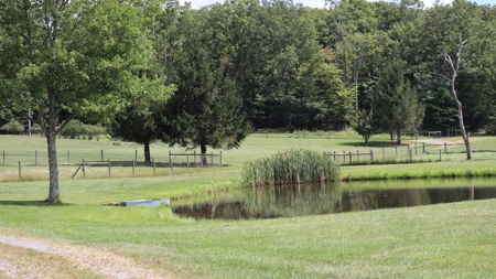 Country Home and Farm for Sale in Floyd VA - image 44