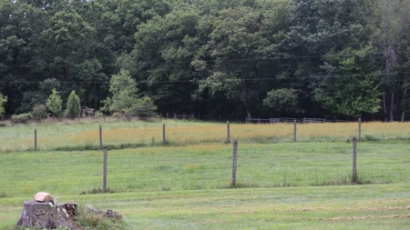 Country Home and Farm for Sale in Floyd VA - image 34