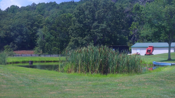 Country Home and Farm for Sale in Floyd VA