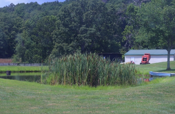 Country Home and Farm for Sale in Floyd VA