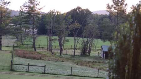 Country Home and Farm for Sale in Floyd VA - image 46