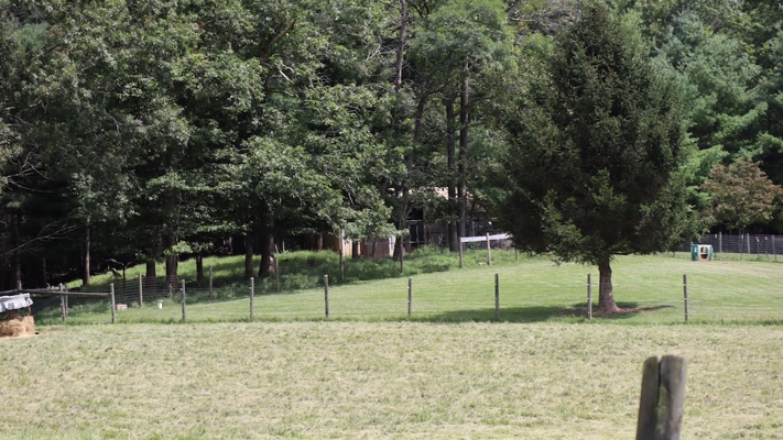 Country Home and Farm for Sale in Floyd VA