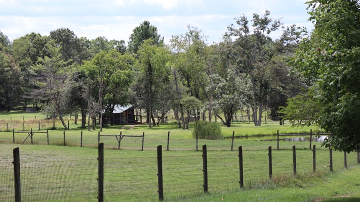 Country Home and Farm for Sale in Floyd VA