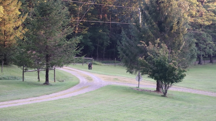 Country Home and Farm for Sale in Floyd VA
