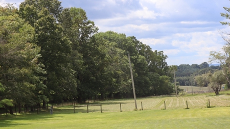 Country Home and Farm for Sale in Floyd VA - image 40