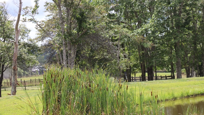 Country Home and Farm for Sale in Floyd VA