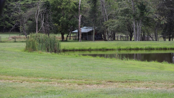 Country Home and Farm for Sale in Floyd VA