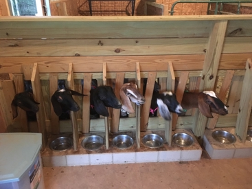 Listing 11