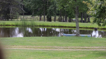 Country Home and Farm for Sale in Floyd VA - image 5