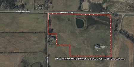 20 Acres + Country Home in Hector Arkansas - image 2