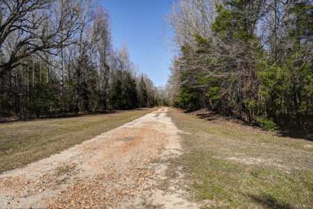 Secluded 91.33-Acre Ranch for Sale in Avery, Texas - image 24