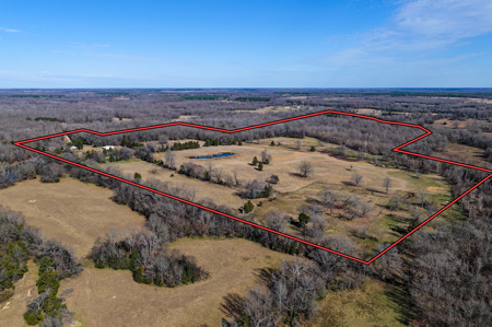 Secluded 91.33-Acre Ranch for Sale in Avery, Texas - image 21