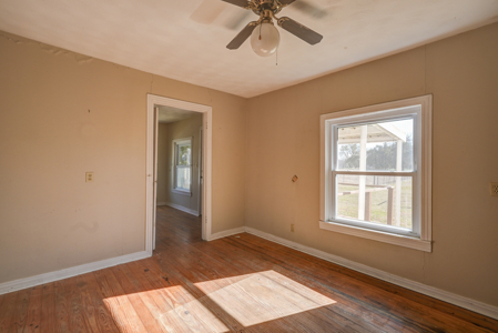 Secluded 91.33-Acre Ranch for Sale in Avery, Texas - image 13