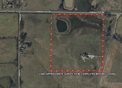 15 Acres + Country Home in Hector Arkansas | Ozarks - image 2