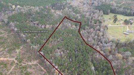 12± Acres in Wesson, Lincoln County, Mississippi - image 3