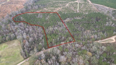 12± Acres in Wesson, Lincoln County, Mississippi - image 4