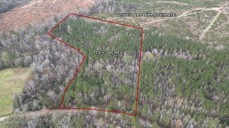 12± Acres in Wesson, Lincoln County, Mississippi - image 1