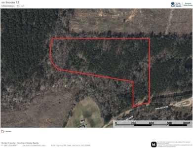 12± Acres in Wesson, Lincoln County, Mississippi - image 10