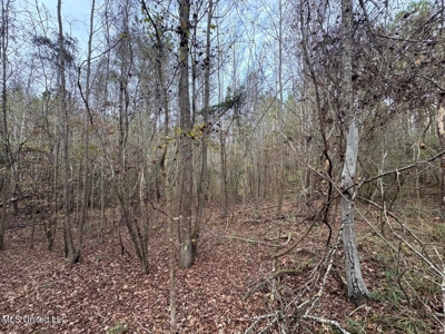 12± Acres in Wesson, Lincoln County, Mississippi - image 6