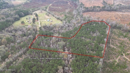 12± Acres in Wesson, Lincoln County, Mississippi - image 2