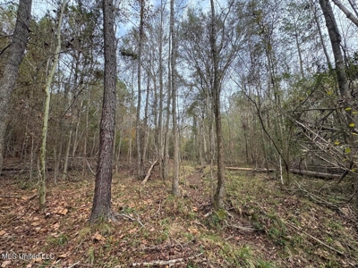 12± Acres in Wesson, Lincoln County, Mississippi - image 8
