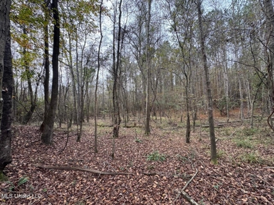 12± Acres in Wesson, Lincoln County, Mississippi - image 7