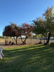 Charming Home with Mountain Views, Outbuildings, and Privacy - image 30