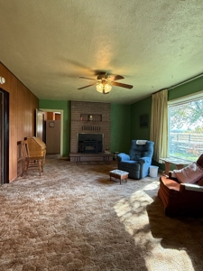 Charming Home with Mountain Views, Outbuildings, and Privacy - image 20