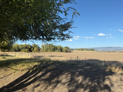Charming Home with Mountain Views, Outbuildings, and Privacy - image 33