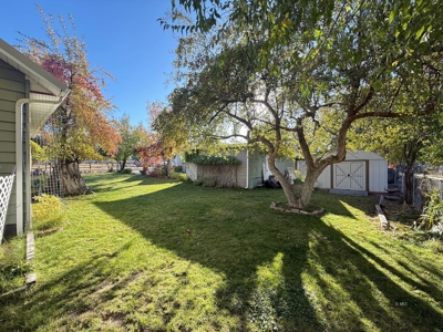 Charming Home with Mountain Views, Outbuildings, and Privacy - image 10