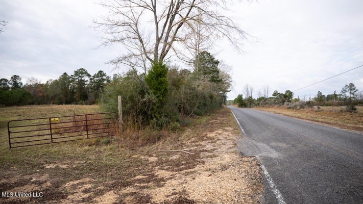 283± Acres for Sale Amite County, Mississippi