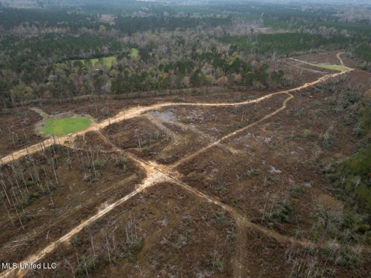 283± Acres for Sale Amite County, Mississippi