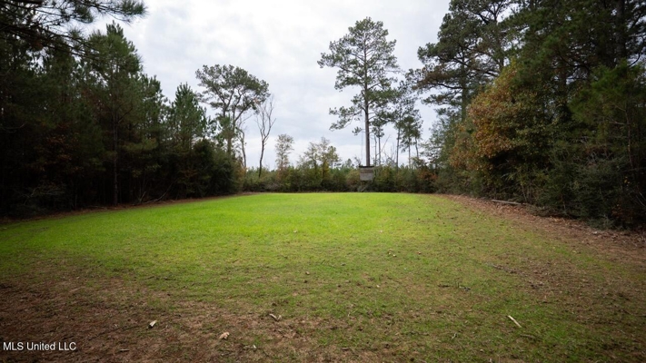 283± Acres for Sale Amite County, Mississippi