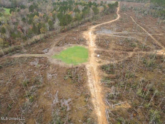 283± Acres for Sale Amite County, Mississippi