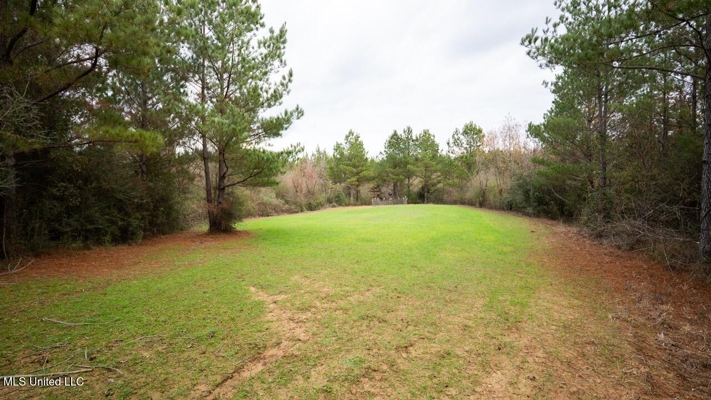 283± Acres for Sale Amite County, Mississippi