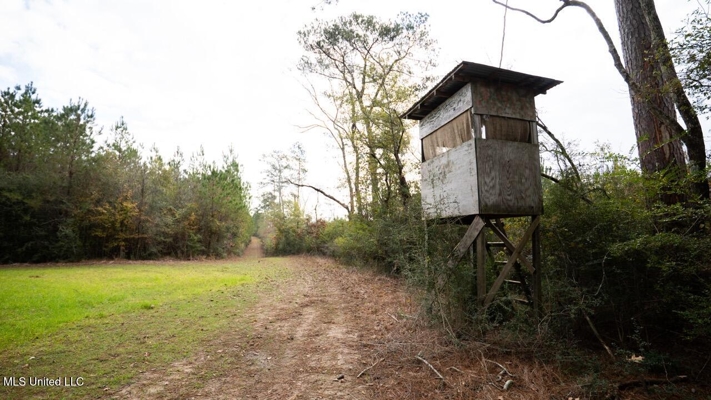 283± Acres for Sale Amite County, Mississippi