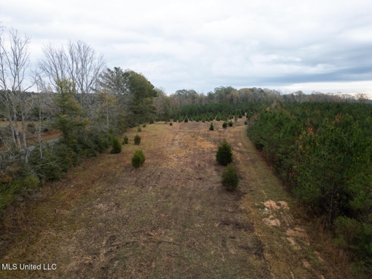 283± Acres for Sale Amite County, Mississippi
