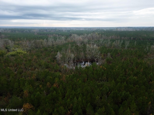 283± Acres for Sale Amite County, Mississippi