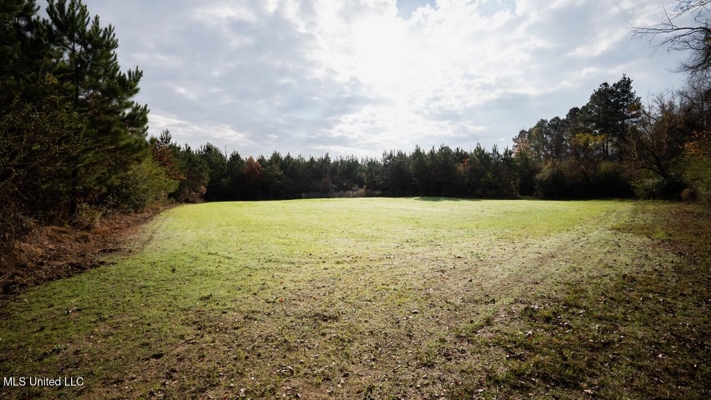 283± Acres for Sale Amite County, Mississippi