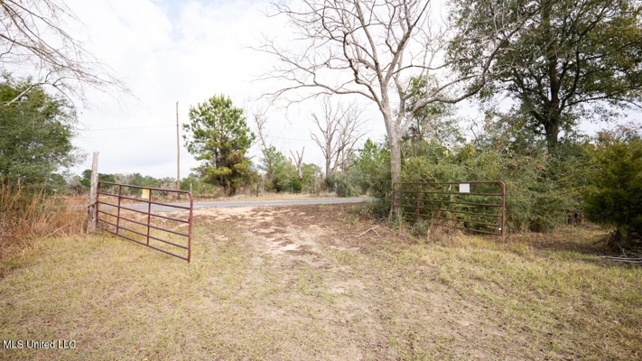 283± Acres for Sale Amite County, Mississippi