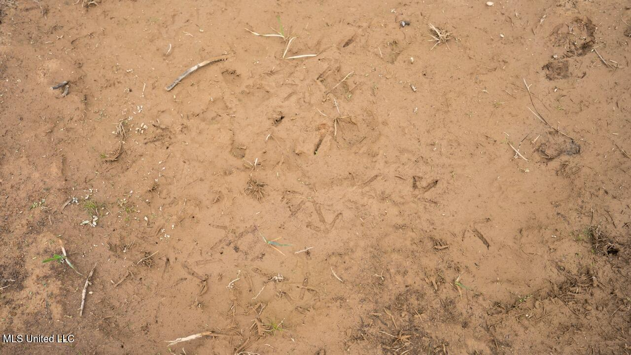 3448 Lower Centreville Rd, Liberty, MS 39645-8301