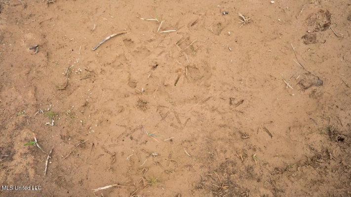 283± Acres for Sale Amite County, Mississippi