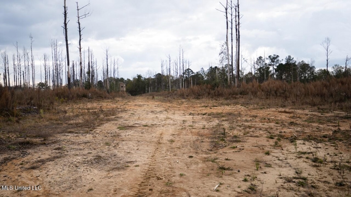 283± Acres for Sale Amite County, Mississippi
