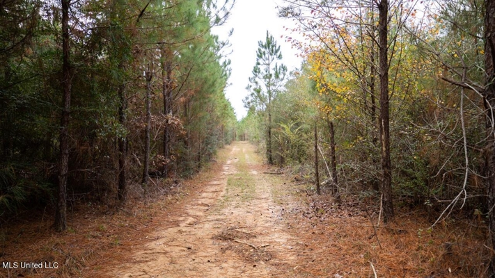 283± Acres for Sale Amite County, Mississippi