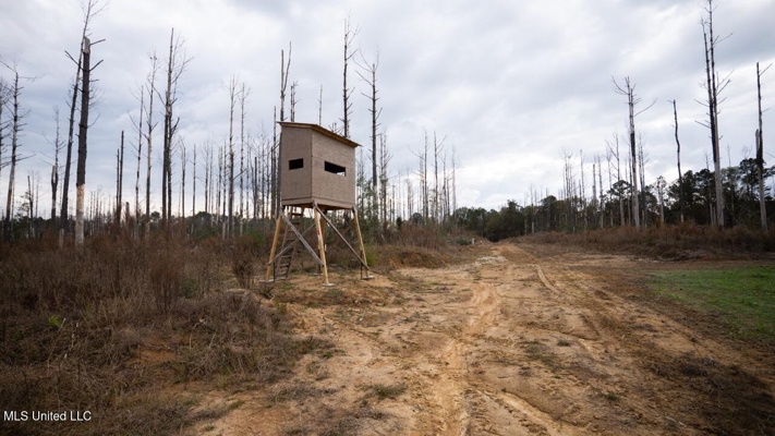 283± Acres for Sale Amite County, Mississippi