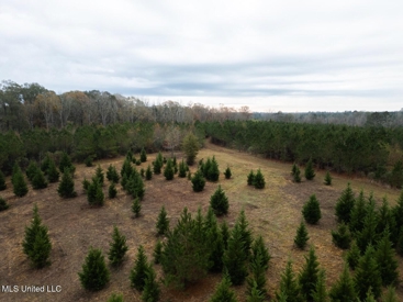 Listing 37