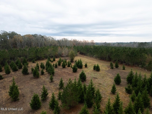 283± Acres for Sale Amite County, Mississippi